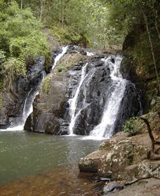 Pepina Falls - Attractions 0