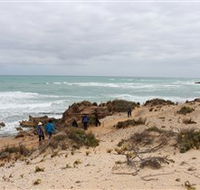 The Seaview Walking Trail - Attractions