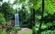 Millaa Millaa Falls - thumb 2