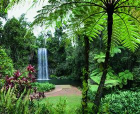 Millaa Millaa Falls - Attractions 2