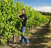 Patrick of Coonawarra - Attractions