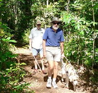 Wongabel State Forest - Attractions