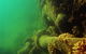 Wreck Diving At Magnetic Island - thumb 0
