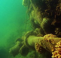Wreck Diving at Magnetic Island - Attractions