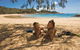 Arcadia At Magnetic Island - thumb 0