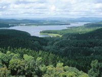 Book Dimbulah Accommodation Vacations Attractions Attractions