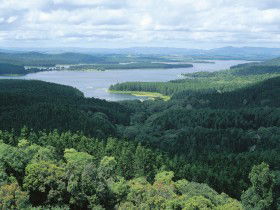 Lake Tinaroo - Attractions 0