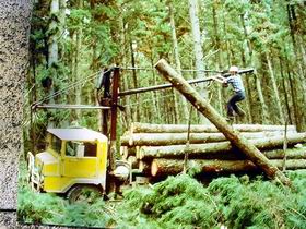 Nangwarry Forestry And Logging Museum - Attractions 3