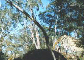 Dergholm State Park - Attractions 0
