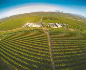 Golden Drop Winery - Attractions 0