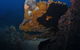 Lady Bowen Dive Site - thumb 0
