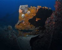 Lady Bowen Dive Site