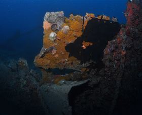 Lady Bowen Dive Site - Attractions 0