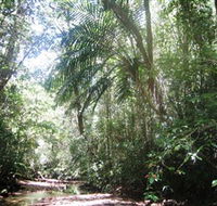 Mount Lewis National Park - Attractions