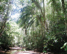 Mount Lewis National Park - Attractions 0