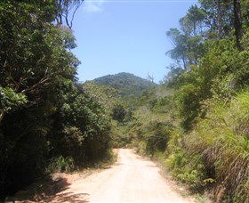 Mount Lewis National Park - Attractions 2