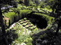 Umpherston Sinkhole