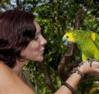 Birdworld Kuranda - Attractions