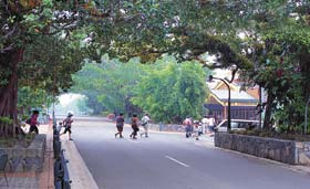 Kuranda - Village In The Rainforest - Attractions 1