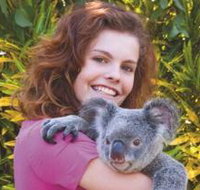 Kuranda Koala Gardens - Attractions