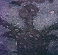 Quinkan Reserves Ancient Rock Art - Attractions