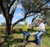 Restdown Wines and Walking Trail - Attractions