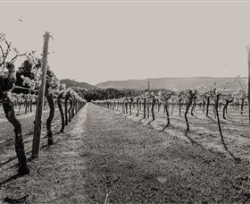 Mount Dryden VIC Attractions Las Vegas