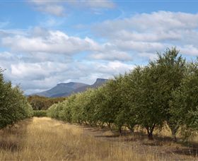 Red Rock Olives - Attractions 1