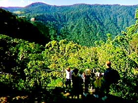 Eungella National Park - Attractions Las Vegas 3