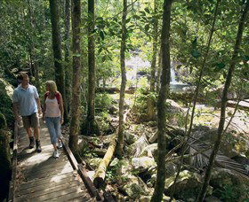 Eungella National Park - Attractions Las Vegas 2