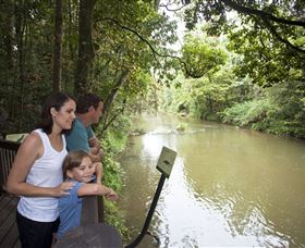 Platypus Viewing At Broken River - Attractions 1