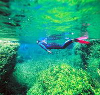 Piccaninnie Ponds Conservation Park - Attractions