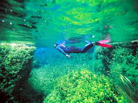 Piccaninnie Ponds Conservation Park - Attractions 0