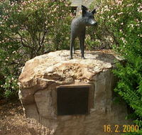 Dingo Statue - Attractions