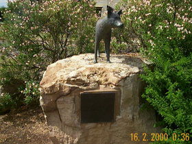 Dingo Statue - Attractions 0