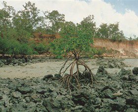 Garig Gunak Barlu National Park - Attractions 3