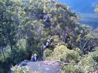 Mia Mia State Forest