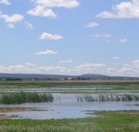 Fivebough Wetlands - Attractions