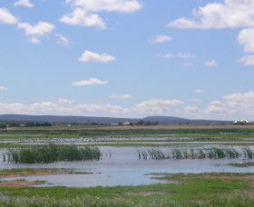 Fivebough Wetlands - Attractions Las Vegas 0