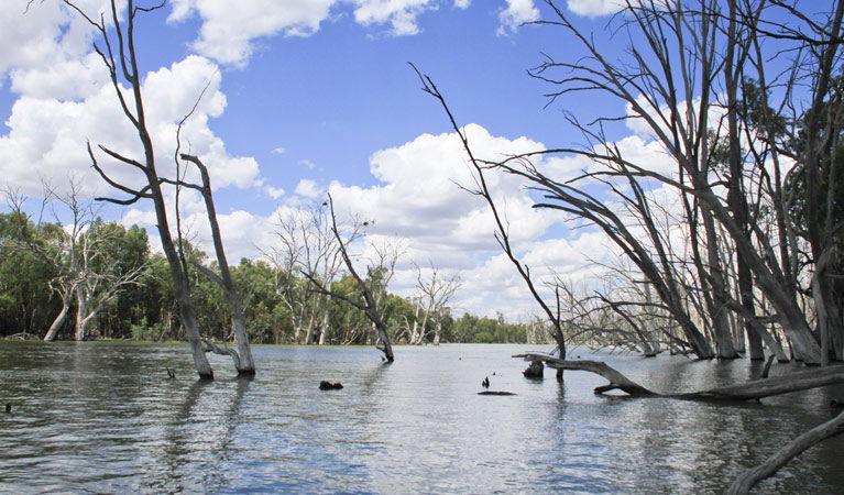 Bundure NSW Attractions