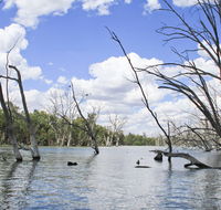 Murrumbidgee Valley National Park - Attractions