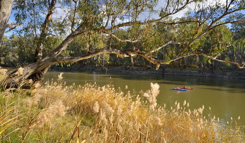 Murrumbidgee Valley National Park - Attractions 3