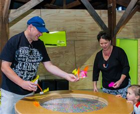 Twisted - Science At Play - Attractions 2