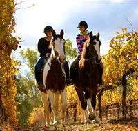 Billabong Ranch - Attractions