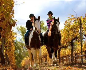 Billabong Ranch - Attractions 0