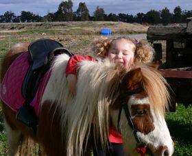 Billabong Ranch - Attractions 1