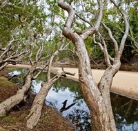 Oyala Thumotang National Park CYPAL - Attractions
