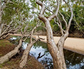 Oyala Thumotang National Park (CYPAL) - Attractions 0