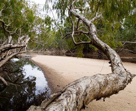 Oyala Thumotang National Park (CYPAL) - Attractions 3