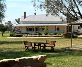 Mackereth's Hedon Farm - Attractions 4